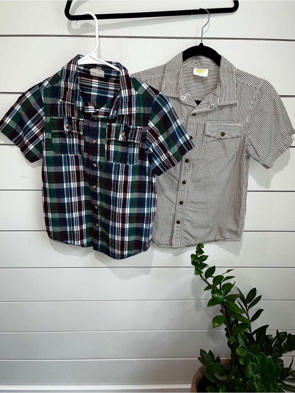 Boys Short-Sleeve Plaid Shirt - Green/Navy
7/8 size Crazy 8